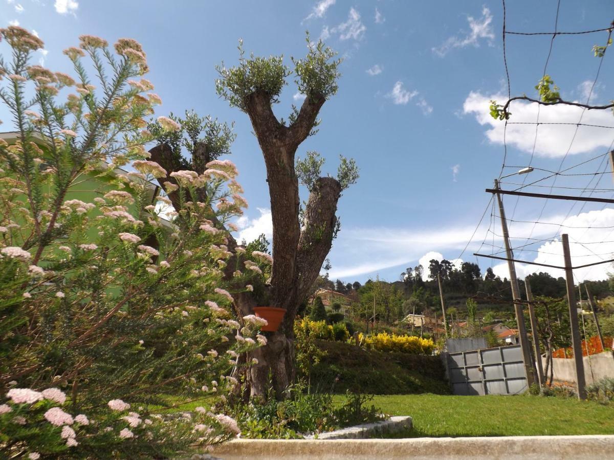 Casa Oliveira Βίλα Grovelas Εξωτερικό φωτογραφία